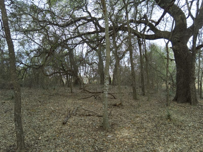 Fredericksburg Nature Center 